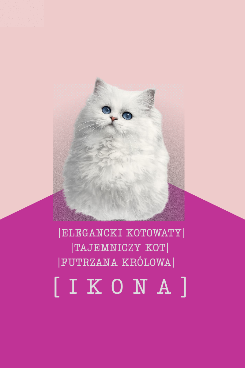 KOSZULKA "IKONA" - obrazek 2