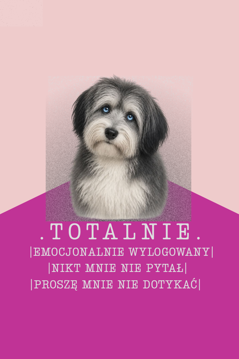 KOSZULKA "TOTALNIE" - obrazek 2